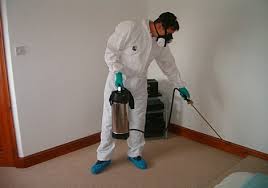 Pest Control Services & Providers